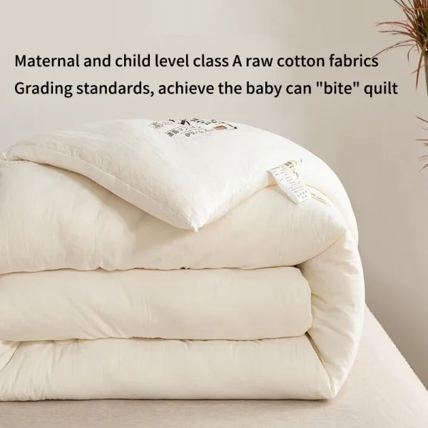 Raw Cotton Soybean Quilt Spring and Autumn Quilt Thickened Winter Quilt - Image 3